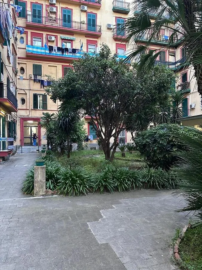 Casa Ale Apartment Naples 0*,